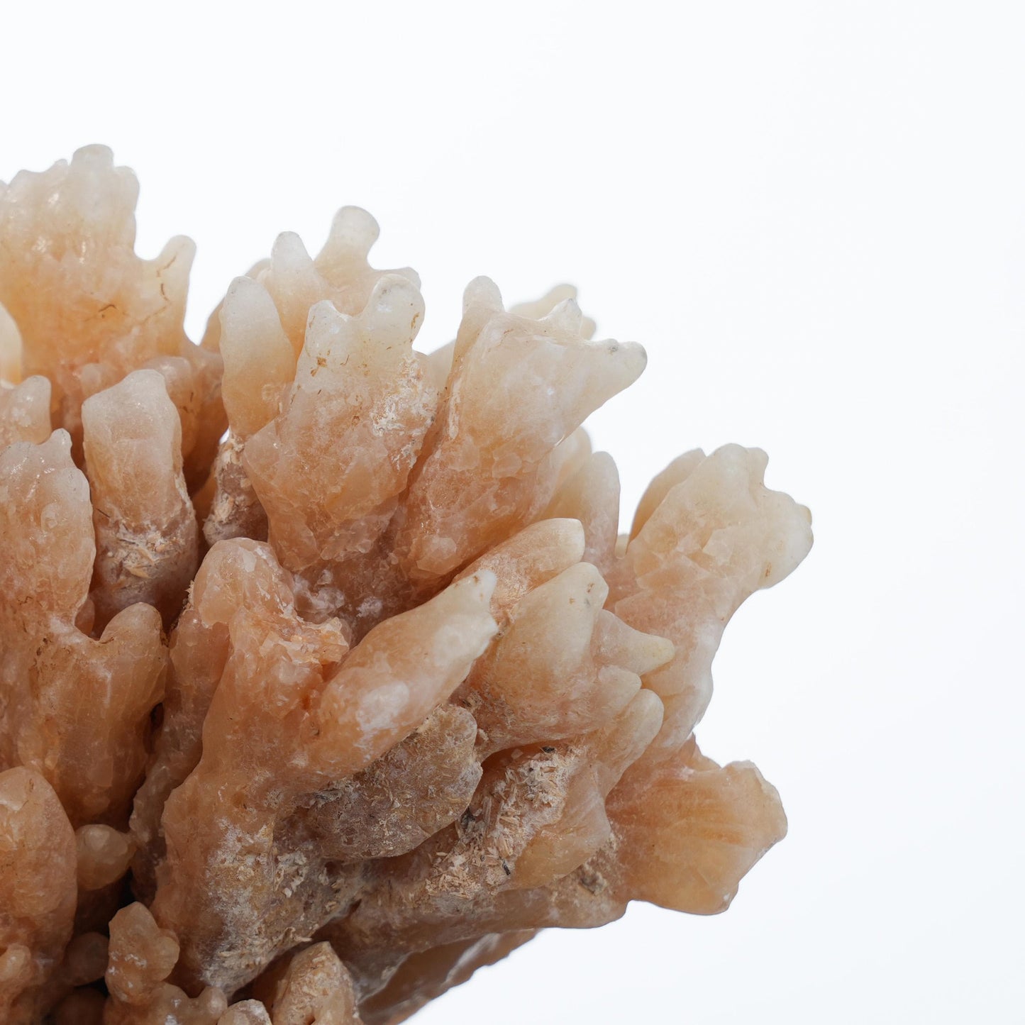 Calcite Cluster Crystal Garden | Crystal Hunter Alpha Hare | Home Decor | Energy Healing | Healing Crystal Art & Handmade Gift